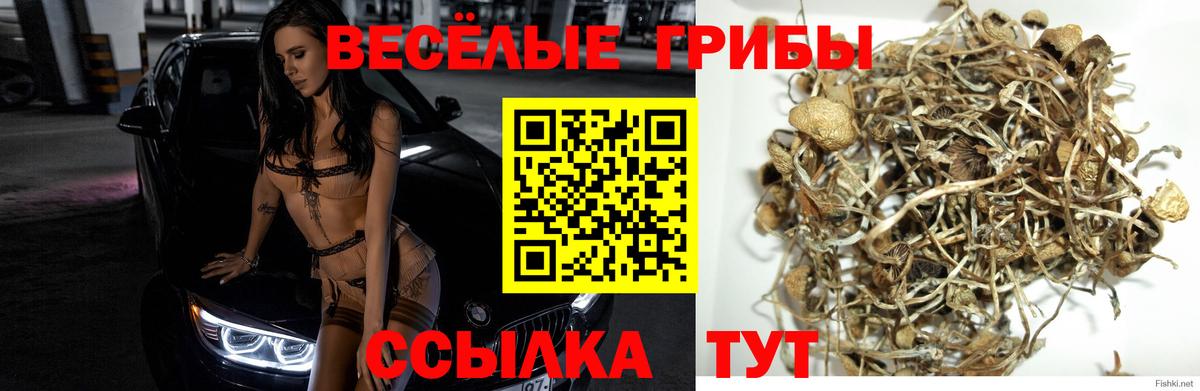 Галлюциногенные грибы ЛСД Рыбинск